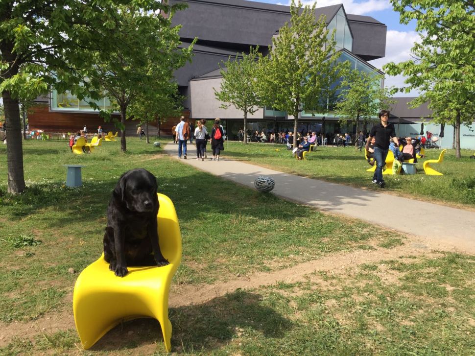 2017-04-14-PHOTO-00000135