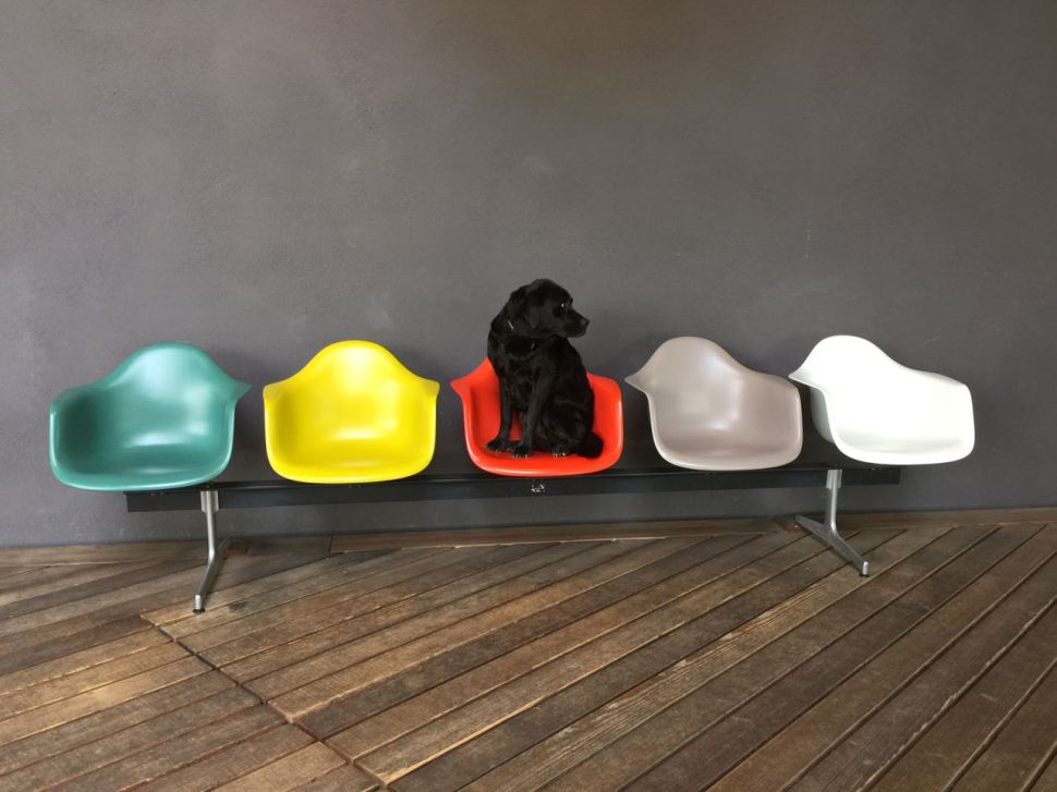 2017-04-14-PHOTO-00000136