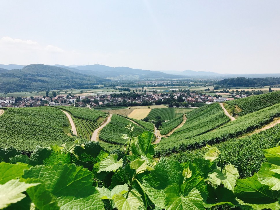 FullSizeRender-13 Kopie